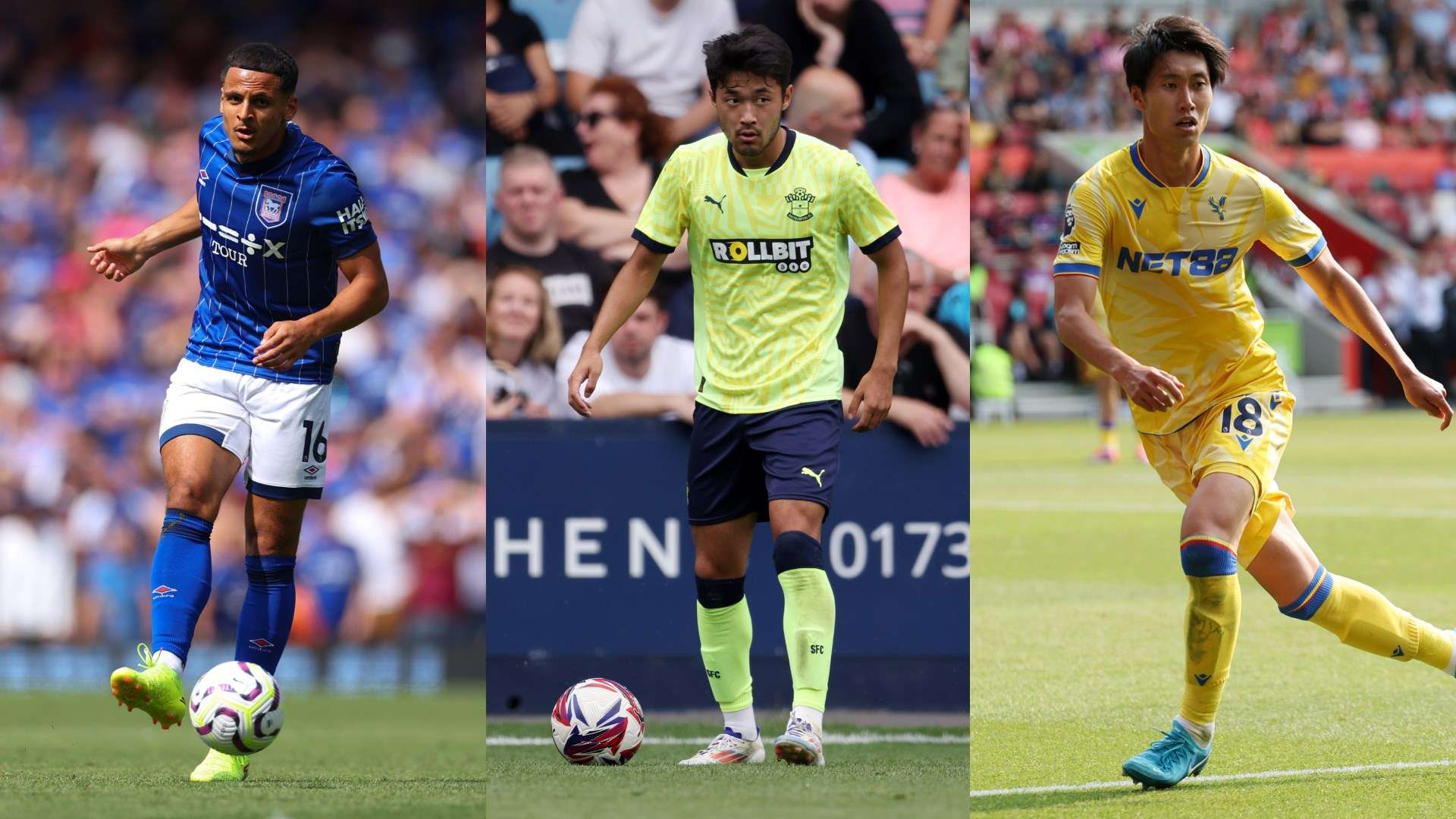 我们将从选 我们将从选